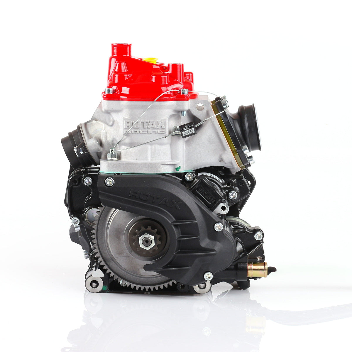 Rotax 125 Max Junior