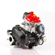 Rotax 125 Max DD2