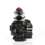 Rotax 125 Max DD2