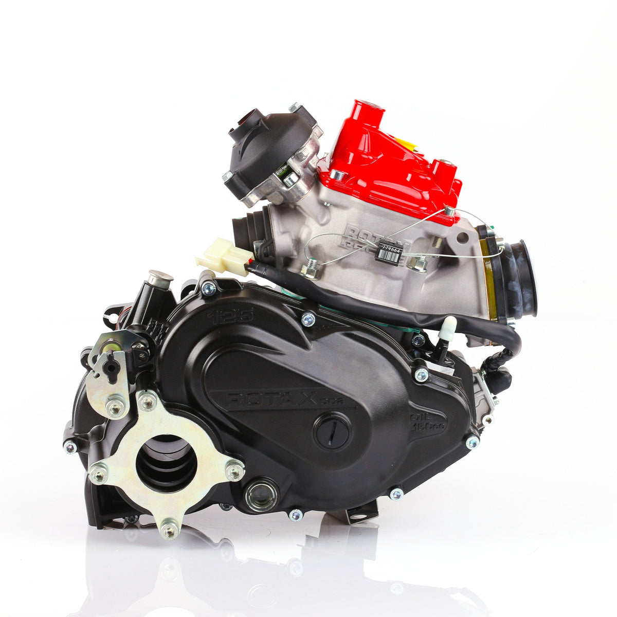 Rotax 125 Max DD2