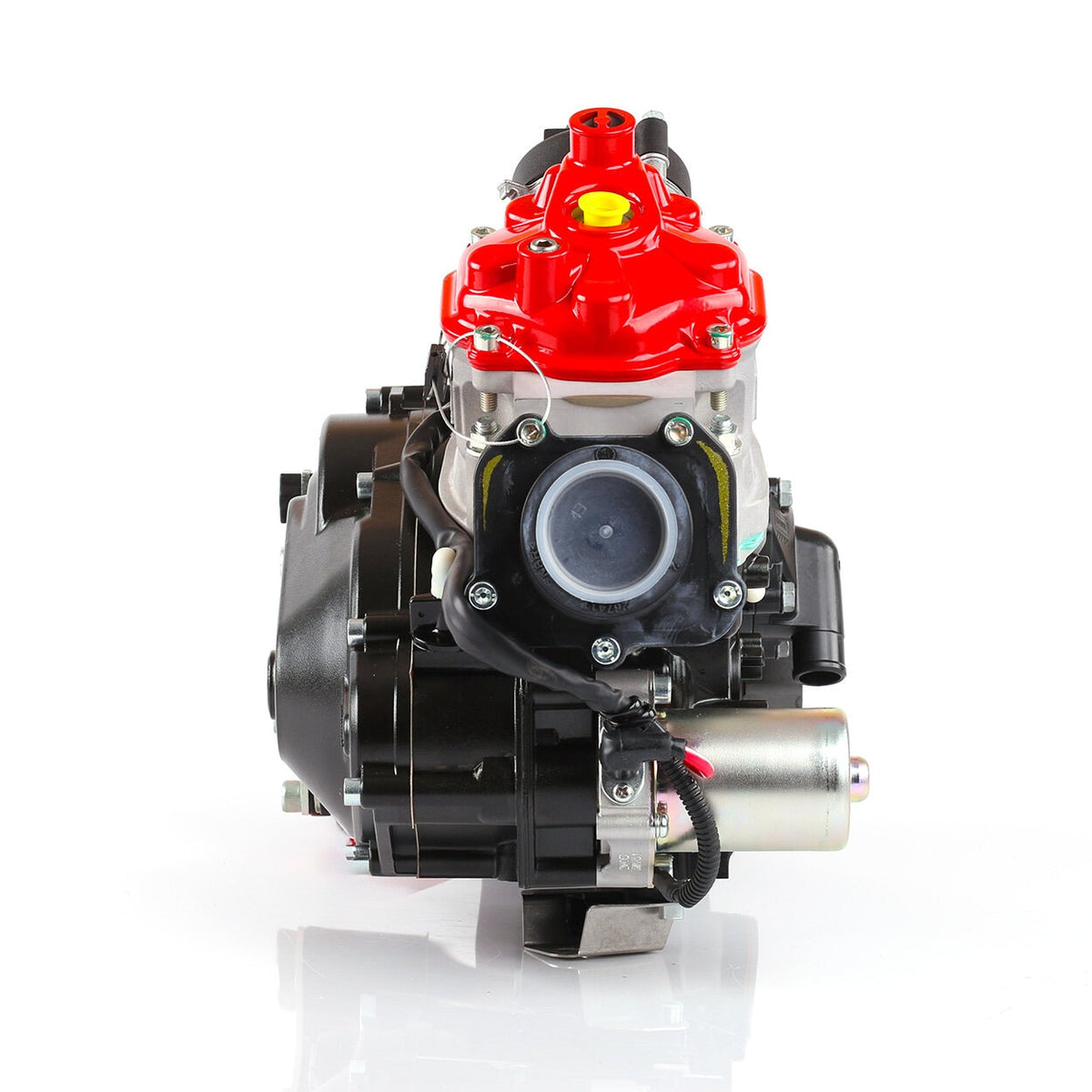 Rotax 125 Max DD2