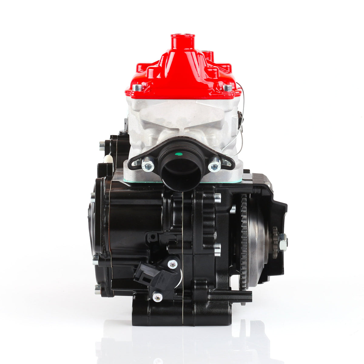 Rotax 125 Max Junior