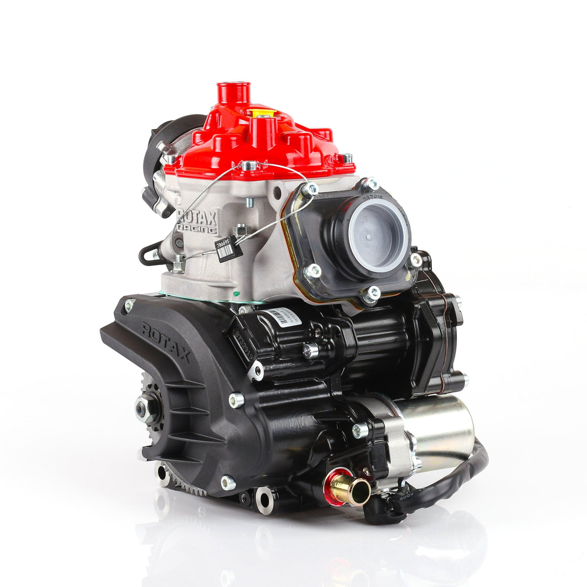 Rotax 125 Max Senior