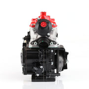 Rotax 125 Max Senior