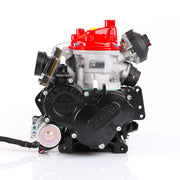 Rotax 125 Max Senior
